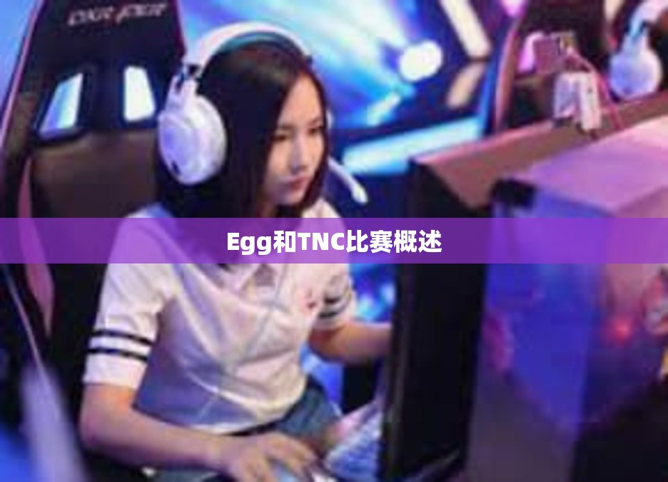 Egg和TNC比赛概述