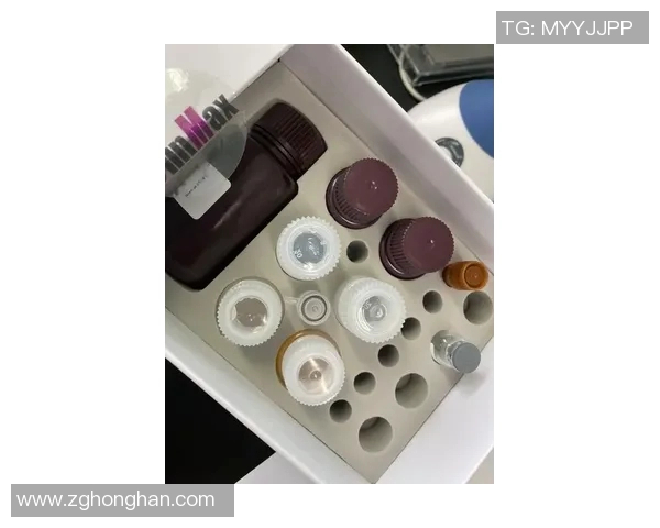 Elisa比赛-Elisa比赛,音乐与激情的碰撞-Elisa比赛