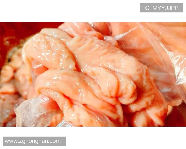 wdc经典比赛屠夫-wdc经典比赛屠夫